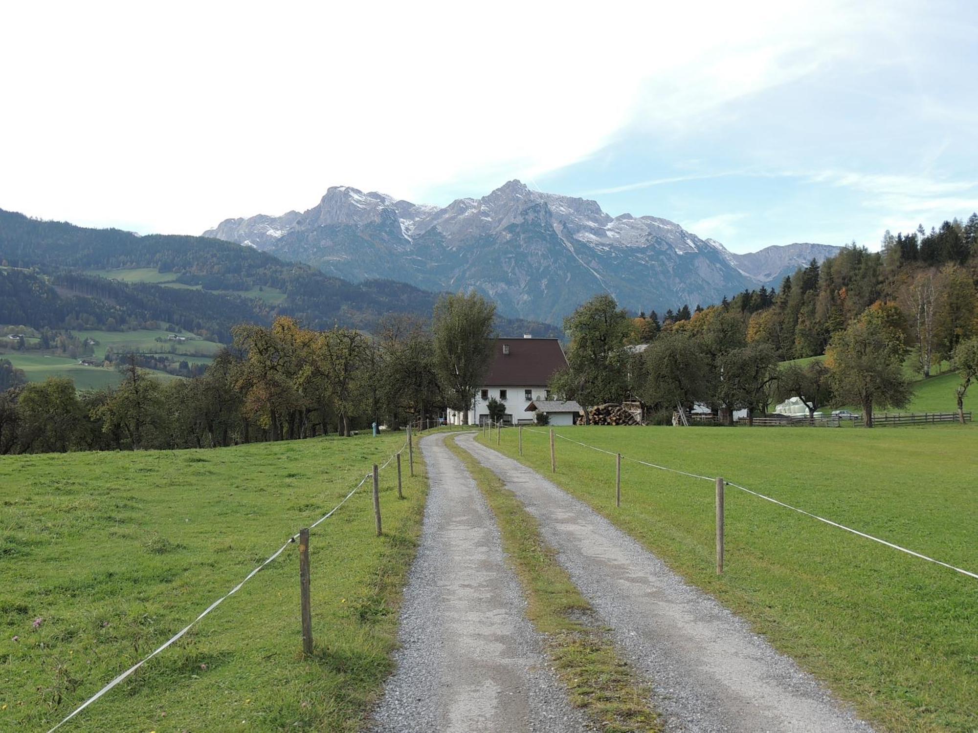 Haus Rieder Apartment Pfarrwerfen Exterior photo